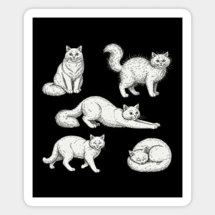 Cats Vintage retro Magnet